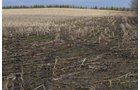 Property photo 2 - 98+/- Acres Offered in 6 Tracts or Combinations, Noble County, Indiana Farm